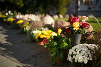 Viltrox AF 35 mm f/1.2 LAB - sample shots