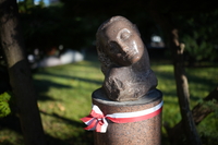 Viltrox AF 35 mm f/1.2 LAB - sample shots