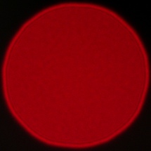 Viltrox AF 85 mm f/2 EVO - Coma, astigmatism and bokeh