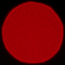 Viltrox AF 85 mm f/2 EVO - Coma, astigmatism and bokeh