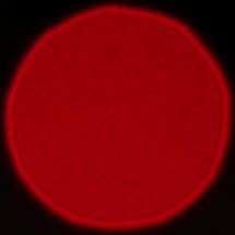 Viltrox AF 85 mm f/2 EVO - Coma, astigmatism and bokeh