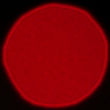 Viltrox AF 85 mm f/2 EVO - Coma, astigmatism and bokeh