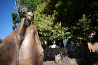 Panasonic Lumix S 18 mm f/1.8 - Sample shots