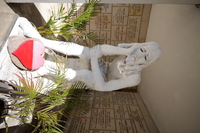 Panasonic Lumix S 18 mm f/1.8 - Sample shots