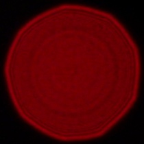 Panasonic Lumix S 18 mm f/1.8 - Coma, astigmatism and bokeh