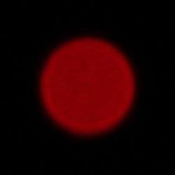 Sigma C 20-200 mm f/3.5-6.3 DG - Chromatic and spherical aberration