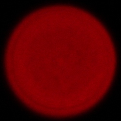 Sigma C 20-200 mm f/3.5-6.3 DG - Chromatic and spherical aberration