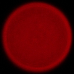 Sigma C 20-200 mm f/3.5-6.3 DG - Chromatic and spherical aberration