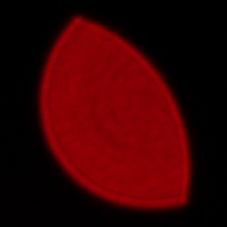 Sigma C 20-200 mm f/3.5-6.3 DG - Coma, astigmatism and bokeh