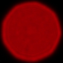 Sigma C 20-200 mm f/3.5-6.3 DG - Coma, astigmatism and bokeh