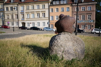 Leica APO-Summicron-SL 35 mm f/2 ASPH. - Sample shots