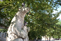 Leica APO-Summicron-SL 35 mm f/2 ASPH. - Sample shots