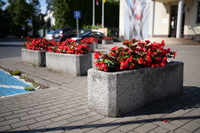 Leica APO-Summicron-SL 35 mm f/2 ASPH. - Sample shots