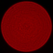 Leica APO-Summicron-SL 35 mm f/2 ASPH. - Coma, astigmatism and bokeh