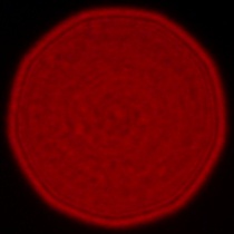 Leica APO-Summicron-SL 35 mm f/2 ASPH. - Coma, astigmatism and bokeh