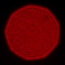 Leica APO-Summicron-SL 35 mm f/2 ASPH. - Coma, astigmatism and bokeh