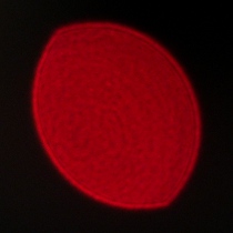 Viltrox AF 35 mm f/1.2 LAB - Coma, astigmatism and bokeh