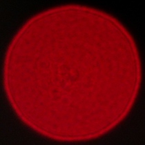 Viltrox AF 35 mm f/1.2 LAB - Coma, astigmatism and bokeh