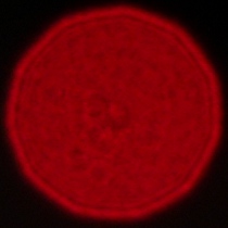 Viltrox AF 35 mm f/1.2 LAB - Coma, astigmatism and bokeh