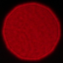 Viltrox AF 35 mm f/1.2 LAB - Coma, astigmatism and bokeh