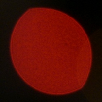 Nikon Nikkor Z 35 mm f/1.2 S - Coma, astigmatism and bokeh