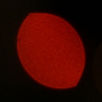 Nikon Nikkor Z 35 mm f/1.2 S - Coma, astigmatism and bokeh