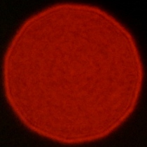 Nikon Nikkor Z 35 mm f/1.2 S - Coma, astigmatism and bokeh