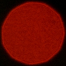 Nikon Nikkor Z 35 mm f/1.2 S - Coma, astigmatism and bokeh