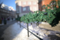 Nikkor Z 35 mm f/1.2 S - sample shots