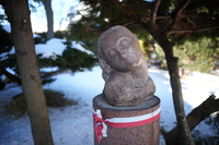 Voigtlander Apo Lanthar 28 mm f/2 Aspherical - sample shots