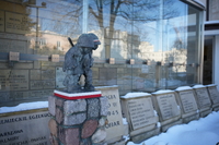 Voigtlander Apo Lanthar 28 mm f/2 Aspherical - sample shots