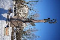 Voigtlander Apo Lanthar 28 mm f/2 Aspherical - sample shots