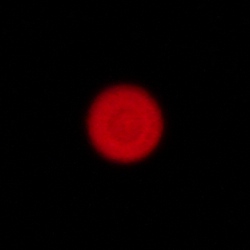 Voigtlander Apo Lanthar 28 mm f/2 Aspherical - Chromatic and spherical aberration