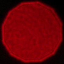 Voigtlander Apo Lanthar 28 mm f/2 Aspherical - Coma, astigmatism and bokeh