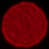 Voigtlander Apo Lanthar 28 mm f/2 Aspherical - Coma, astigmatism and bokeh