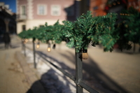 Sigma A 35 mm f/1.2 DG II - sample shots