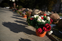 Sigma A 35 mm f/1.2 DG II - sample shots