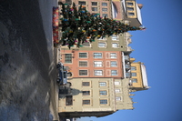 Nikkor Z 24-70 mm f/2.8 S II - sample shots