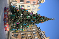 Nikkor Z 24-70 mm f/2.8 S II - sample shots