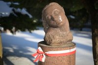 Nikkor Z 24-70 mm f/2.8 S II - sample shots