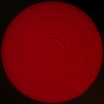 Sigma A 35 mm f/1.2 DG II - Coma, astigmatism and bokeh