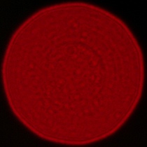 Sigma A 35 mm f/1.2 DG II - Coma, astigmatism and bokeh