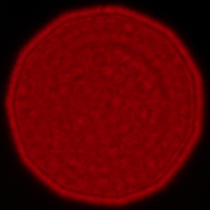 Sigma A 35 mm f/1.2 DG II - Coma, astigmatism and bokeh