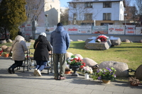 Viltrox AF 50 mm f/1.4 Pro - Sample shots