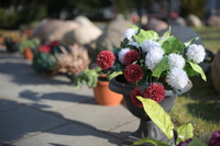 Viltrox AF 50 mm f/1.4 Pro - Sample shots