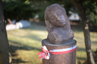 Viltrox AF 50 mm f/1.4 Pro - Sample shots