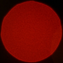 Viltrox AF 50 mm f/1.4 Pro - Coma, astigmatism and bokeh