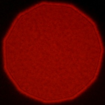 Viltrox AF 50 mm f/1.4 Pro - Coma, astigmatism and bokeh