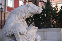 Samyang AF 24-60 mm f/2.8 FE - sample shots