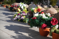 Samyang AF 24-60 mm f/2.8 FE - sample shots